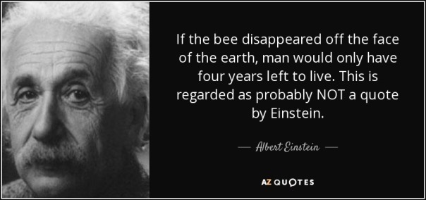 quote-if-the-bee-disappeared-off-the-face-of-the-earth-man-would-only-have-four-years-left-albert-einstein-123-24-01